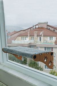 Büyük Boy Yeni Ahşap Cama Yapışan Kedi Yatağı Vantuzlu Cam Yatağı Terası ürün fotoğrafı