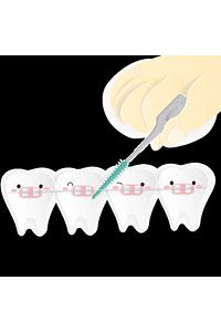 Well Tooth Arayüz Fırçası Normal Boy-40 Adet ürün fotoğrafı