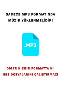 8 Gb Sd Hafıza Kartı Hediye Sportif Usb Girişli Şarjlı Mp3 Müzik Çalar Player - Beyaz ürün fotoğrafı