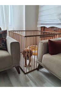 1 M2 - 70 Cm Yükseklik Ahşap Köpek Çiti ( Kapılı) ürün fotoğrafı