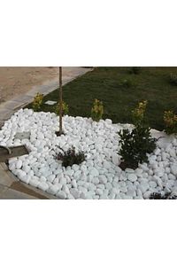 Beyaz Dolomit Taş 10 Kg 4-6 Cm Dekorotif Taş Bahçe Süs Taşı Loche No.6 ürün fotoğrafı