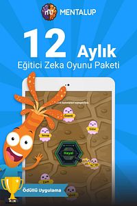 – Eğitsel Zeka Oyunu 12 Aylık ürün fotoğrafı