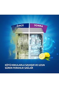 .***.3 Adet *** Deo Limonlu Bulaşık Makinesi Koku Giderici ürün fotoğrafı