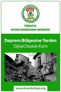 Dijital Deprem Destek Kartı ürün fotoğrafı