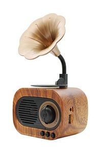 B5 Nostaljik Mini Radyo Gramofon Bluetooth Hoparlör Fm Usb Sd Yüksek Ses Speaker ürün fotoğrafı