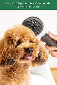 Evcil Hayvan Tüy Tarama Tarağı Otomatik Temizlenen Tuşlu Pet Fırçası Kedi Köpek Tüy Toplayıcı ürün fotoğrafı