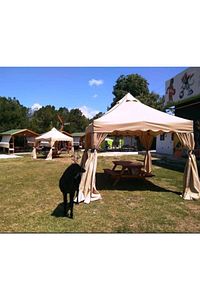 Portatif Bahçe Çadırı Katlanır Çardak Tente 3x3 Gazebo Çadır Gölgelik Kış Bahçesi Kamelya Kır Düğünü ürün fotoğrafı