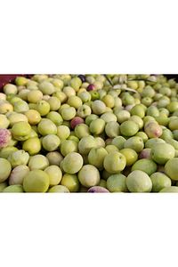 Yeşil Kırma Zeytin Iri Tane 5lt Pet Net 3.3 Kg ( 261-290 M Kalibre) ürün fotoğrafı