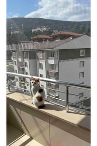 Balkon Filesi 1x1 Metre Kuş Önleme Filesi Kedi Filesi Güvercin Önleme Ağı Koruma Filesi Dolu Filesi ürün fotoğrafı
