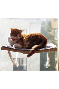 Yeni Model Cam Ve Duvar Için Kedi Yatağı Vantuzlu ürün fotoğrafı