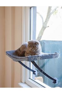 Yeni Model Cam Ve Duvar Için Kedi Yatağı Vantuzlu ürün fotoğrafı