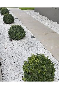 Dolomit Taş 20 Kg 2-4 Cm Beyaz Dolomit Taş Saksı Dibi Dekoratif Taş Bahçe Süsleme Taşı Peyzaj No.3 ürün fotoğrafı
