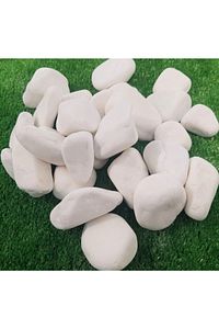 Dolomit Taş 20 Kg 2-4 Cm Beyaz Dolomit Taş Saksı Dibi Dekoratif Taş Bahçe Süsleme Taşı Peyzaj No.3 ürün fotoğrafı