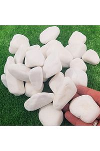 Dolomit Taş 20 Kg 2-4 Cm Beyaz Dolomit Taş Saksı Dibi Dekoratif Taş Bahçe Süsleme Taşı Peyzaj No.3 ürün fotoğrafı