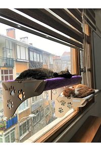 Büyük Boy Ahşap Cama Yapışan Kedi Yatağı Vantuzlu ürün fotoğrafı