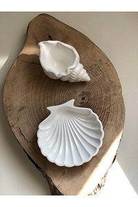 Deniz Kabuğu Ve Istiridye Set Beyaz ürün fotoğrafı