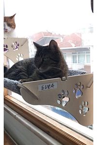 Cama Asılan Kedi Yatağı Vantuzlu ürün fotoğrafı