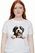 -10% pentru 2+ articole