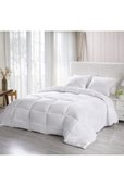 8% off for 2+ items