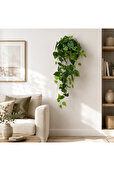 -15% pentru 2+ articole