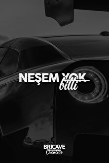 Yalangoch Evanjelin Lilli Ayollar hojatxonasida yashirin kamera