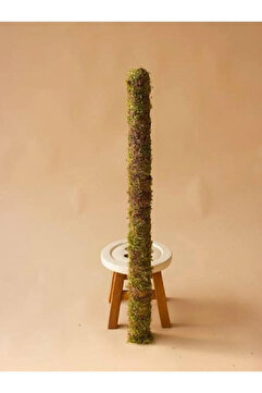 iç mekan bitkicisi Bitki Destek Çubuğu (YOSUN SOPASI) 60cm