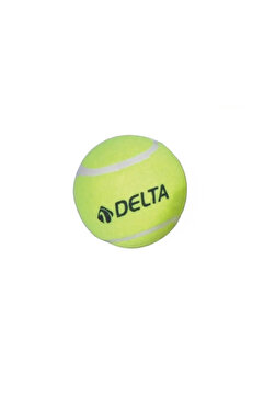 Delta Başlangıç Seviye Antrenman veya Kedi Köpekler İçin 1 Adet Basit Tenis Topu
