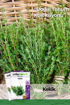 Patika Botanik 150 Adet Ata Tohumu Yerli Kekik/Zahter (Thymus Sp.)