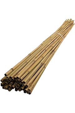 Gardinus Bambu Çubuk Bitki Destek Çubuğu 25 Adet 12 Mm X 150 Cm