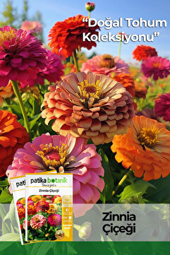Patika Botanik 30 Adet Zinna Çiçek Tohumu (Zinnia Elegans)