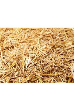 Doğal Sc Plus 1kg Arpa Samanı - Kemirgen Otu - Kuş Otu - Folluk Otu - Sürüngen Otu - Yavrulama Altlığı