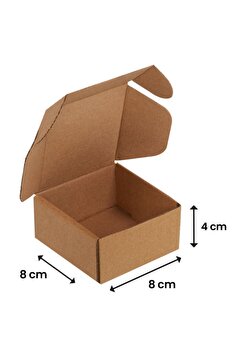 Packanya 8x8x4-100 Adet Kilitli E Ticaret Karton Kargo Kutusu