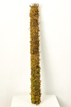 bitkicim Bitki Destek Çubuğu 100 Cm (YOSUN SOPASI)