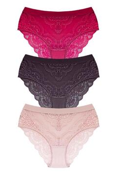 Cottonhill Dantelli Arkası Transparan Büyük Beden Bikini Külot 3'lü Paket
