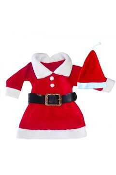 biyan collection Kız Bebek Noel Baba Kıyafeti Kostümü Bebek Yılbaşı Yeniyıl Hediyesi Christmas Gift