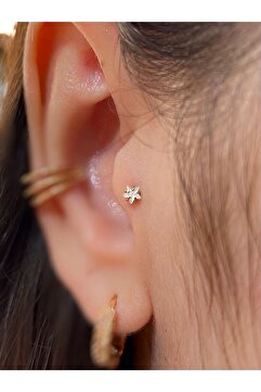 Arescollection Cerrahi Çelik Gold Renk Tek Taş Yıldız Tragus Piercing