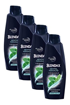 Blendax Erkekler İçin Mentollü Şampuan 4x500 ml – Ferahlatan Etki, Hacim Veren ve Arındırıcı