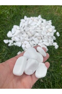 Elysian Beyaz Dolomit Taş 1kg 3-6cm Doğal Renkli Peyzaj Taşı Dekoratif Akvaryum Bahçe Süs Taşları