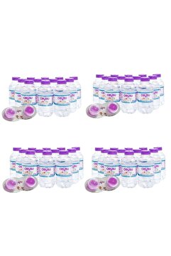 Ceysu Bebek Suyu 48x200 ml Suluk Başlığı Hediyeli (4 PAKET)