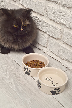 ShoppingPortal 2li Seramik Kedi köpek mama kabı 12cm (300ml)