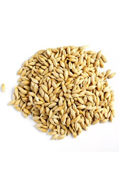Genel Markalar Doğal Tane Arpa Tohumu Yemlik 1 kg