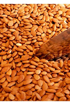 Genel Markalar Acı Kayısı Çekirdeği 500 gr / Yarım Kg