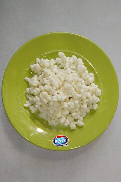 Ketre Yöresel Kefir Mayası