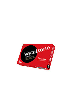 Vocalzone Pastil Nane Mentol Aromalı 24 Adet
