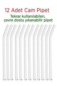 KCA HOME Şeffaf Cam Pipet 12'li Cam Eğimli Pipet (Isıya Dayanıklı)