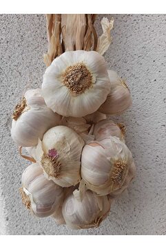 yenice organik Kastamonu Sarımsağı 1 Kg Orta Boy