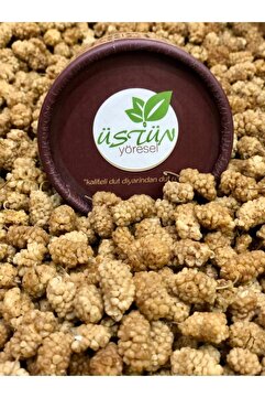 ÜSTÜN YÖRESEL Naturel Dut Kurusu 500 gr
