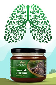 BERALİFE Kozalak Macunu - 300gr Kozalak Macunu