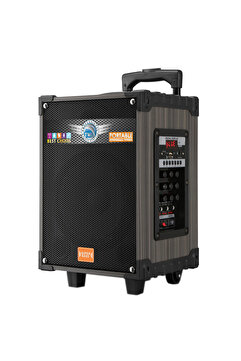 CONSTRAİN Dijital LED Göstergeli FM Radyolu Mikrofonlu TWS 8 inç Stereo Bass Kablosuz Karaoke Hopa