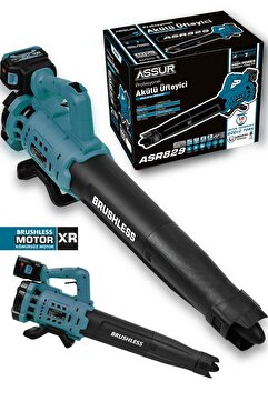 ASSUR Profesyonel 21 V Çift Akülü Turbo Motor 2800 Rpm Yaprak Hava Üfleme Makinesi
